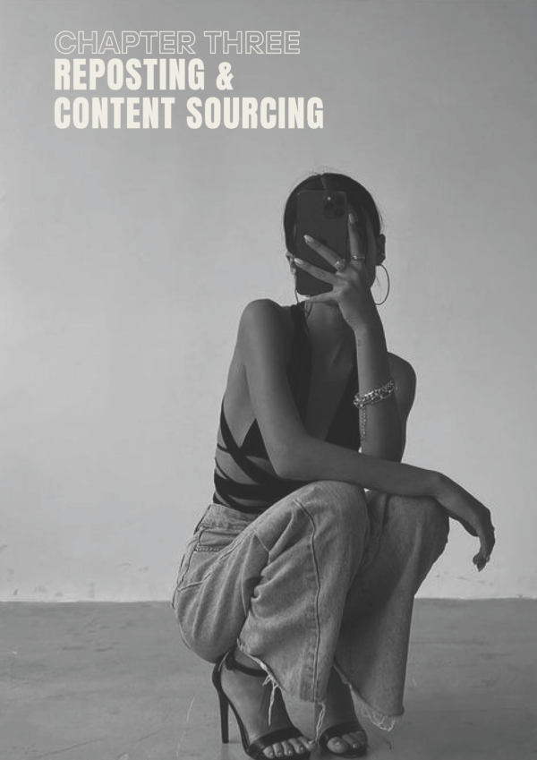 Faceless TikTok Marketing MrSilvaM3_Page_42 FACELESS TIKTOK MARKETING